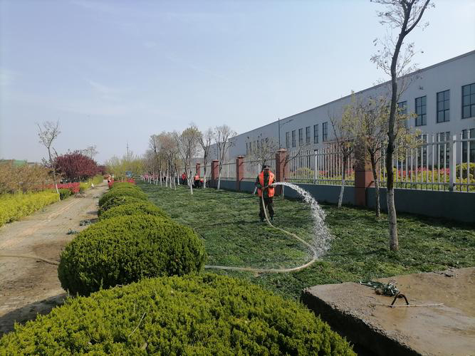 安徽皖新电机有限公司厂区园林绿化养护改造工程(图3) 安徽皖新电机有限公司厂区园林绿化养护及改造工程(图3)